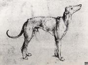 Albrecht Durer A Grayhound oil